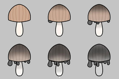 Ink Cap Mushroom Badges (Mine)